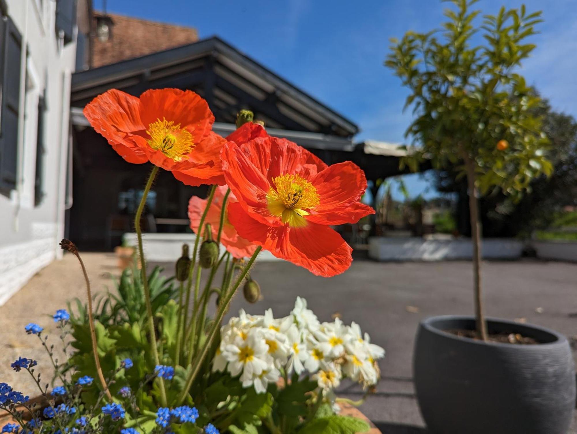 Logis Auberge Du Relais - Hotel & Restaurant Berenx 외부 사진